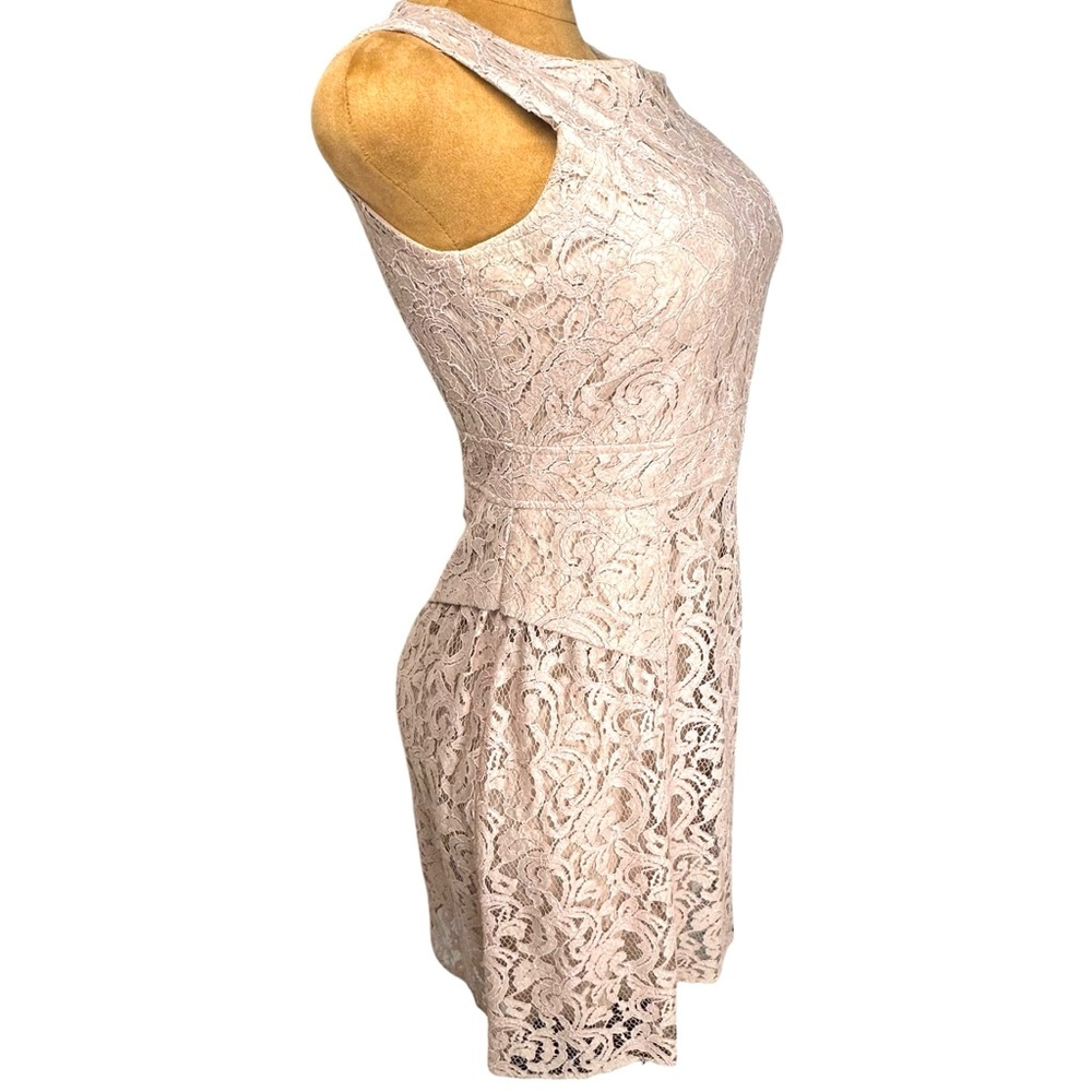 Adrianna Papell Lace Cocktail Dress Blush Beige Romantic Coquette Sleeveless 6 - Picture 10 of 16